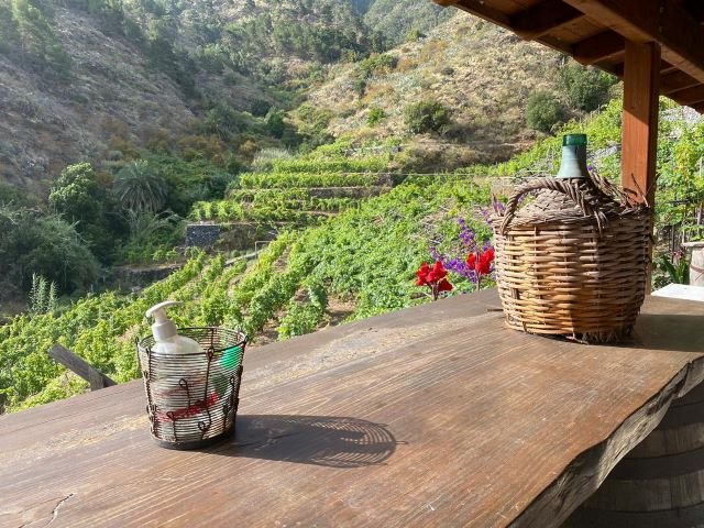 170223 Bodega Montoro en Hermigua La Gomera