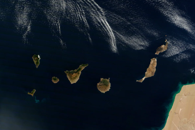 1 Captura de pantalla 2025 12 07 101654