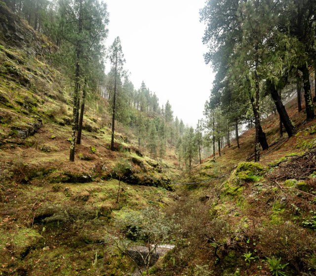 1 Captura de pantalla 2025 12 28 092850