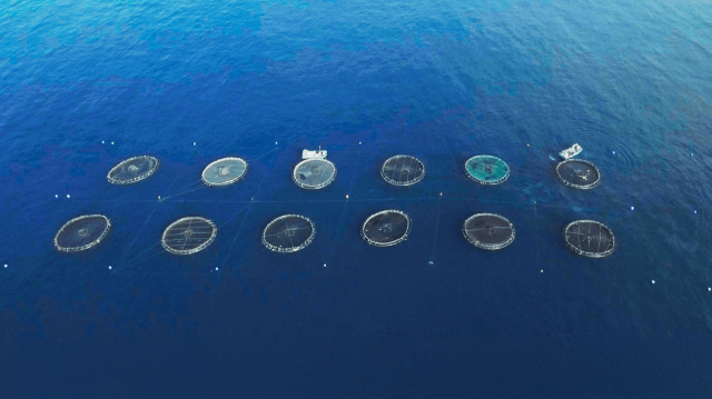 1 Captura de pantalla 2026 01 25 093327