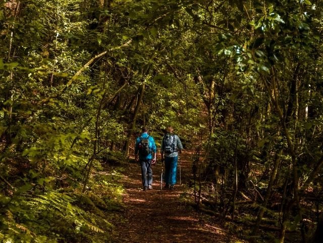 280422 Senderistas en el Parque Nacional de Garajonay