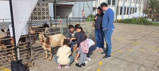 El ordeño de cabras por los pequeños fue una de las actividades de la jornada