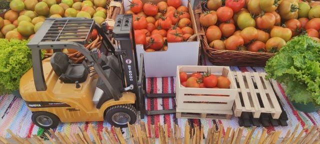 Foto Feria del Tomate de La Aldea de San Nicolaìs 2