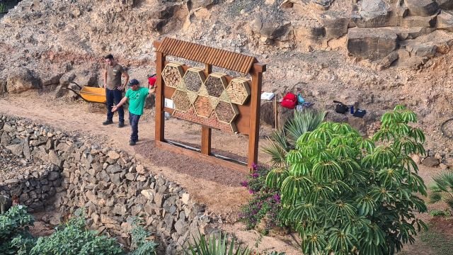 HOTEL INSECTOS BARRANCO PILON PFAE LA JARA JARDINERÍA