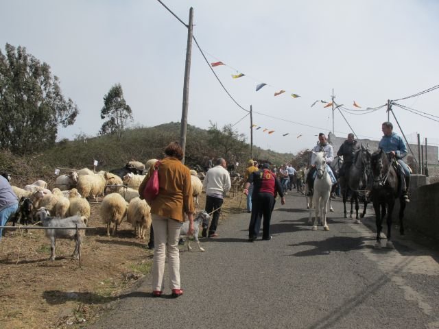 Imagen de archivo de la Feria de Ganado de las fiestas de San José en Montaña Alta 1