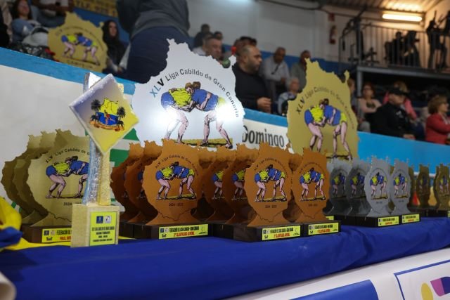 Las jovenes promesas de la lucha canaria brillan en las finales de la XLV Liga Cabildo de Gran Canaria 1