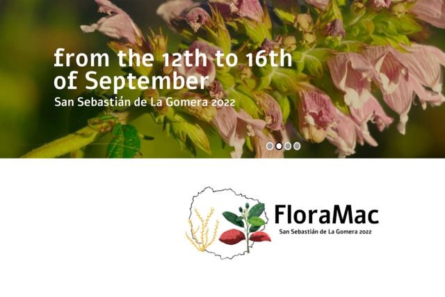 floramac web