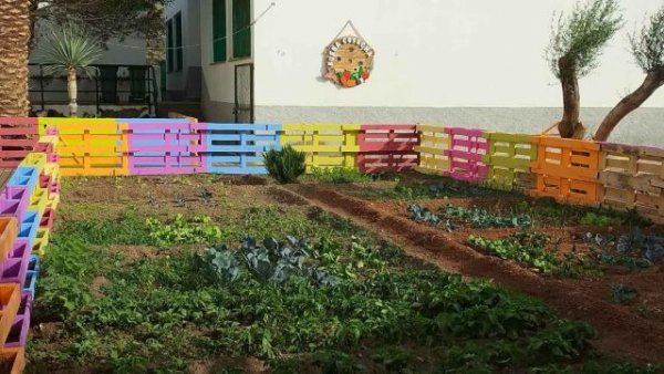 Agaete: Huerto Escolar del CEIP José Sánchez y Sánchez