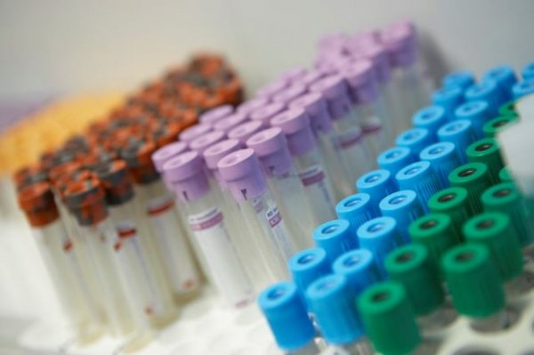 Sanidad notifica un caso confirmado y diez en estudio de viruela del mono desde ayer