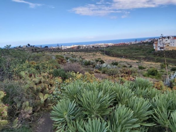 El antiguo Ingenio Azucarero de San José de Las Longueras en peligro por una macrohuerta fotovoltaica