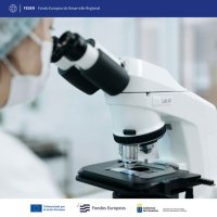 ACIISI fortalece las capacidades estrat&eacute;gicas del ecosistema innovador con m&aacute;s de 1,8 millones de euros