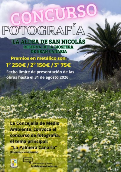 La Aldea de San Nicol&aacute;s convoca un concurso de fotograf&iacute;a para poner en valor la Palmera Canaria