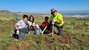 Gran Canaria celebra el Día del Árbol con una actividad de reforestación en el municipio de Telde
