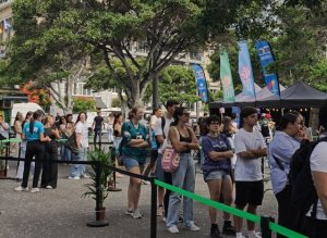 Más de 3.500 aspirantes se presentan al casting de empleo del Tenerife Cook Music Fest