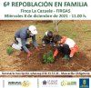 Firgas: La Finca La Cazuela acoge el mi&eacute;rcoles 8 de diciembre una repoblaci&oacute;n forestal de monteverde