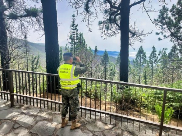 Patrullas Militares del Ejército de Tierra vigilan los montes de las Islas Canarias