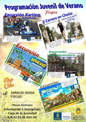 Villa de Firgas: 'Programaci&oacute;n Juvenil de verano'