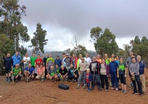 La Montaña de Firgas suma 300 árboles nuevos con motivo de la Huella Ecológica de la Ruta Doramas 2024