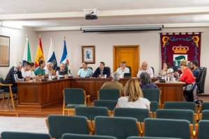 El Gobierno canario lidera un plan de rescate para el cultivo de la piña de El Hierro
