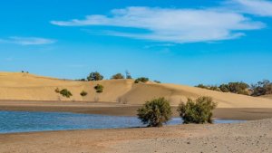 El Cabildo consigue 5,5 millones de euros de la Unión Europea para la recuperación y resiliencia de Maspalomas