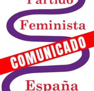 Comunicado del Partido Feminista de España sobre la intervención policial del 25 de noviembre en Las Palmas de Gran Canaria