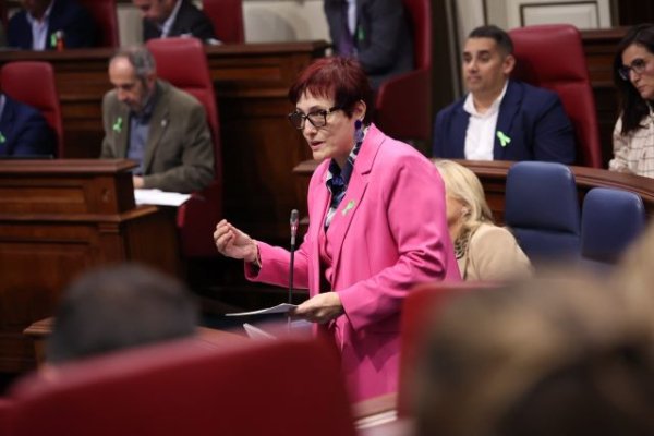 Delgado reitera en el Parlamento la mejora y el esfuerzo inversor del Gobierno en Dependencia