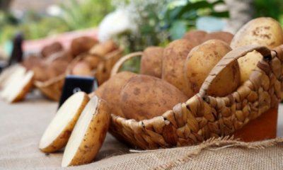 Miguel Hidalgo niega el desabastecimiento de papas y denuncia la subida de precios por ser una especulaci&oacute;n que beneficia a unos pocos