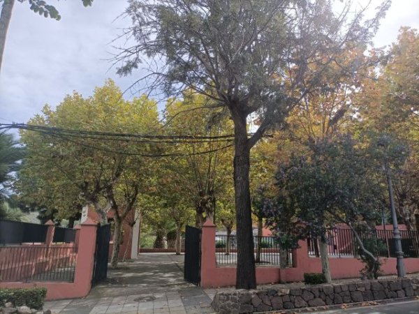 Santa Br&iacute;gida celebra el D&iacute;a del Libro en su Parque Municipal