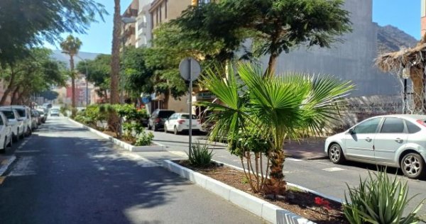 La Gomera: El Ayuntamiento de San Sebastián apuesta por especies nativas y ornamentales para renovar las zonas ajardinadas