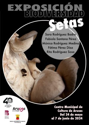 Arucas: Exposición “Biodiversidad: Setas”, de Sara Rodríguez, Fabiola Santana, Mónica Rodríguez, Fátima Pérez y Rita Rodríguez