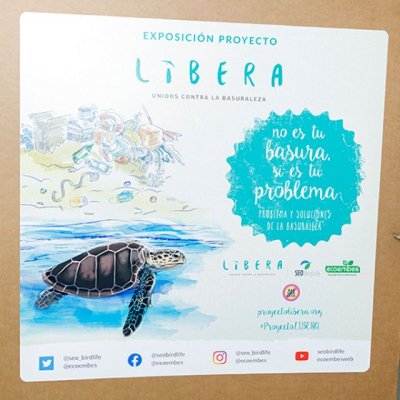 Actividades ECO durante la Ludoteca de Verano en Tejeda