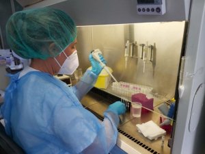 Sanidad constata 1.682 nuevos casos de COVID-19 en personas de más de 60 años en los últimos siete días