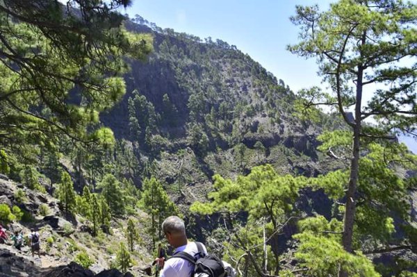 Valleseco organiza la primera ruta de senderismo del año