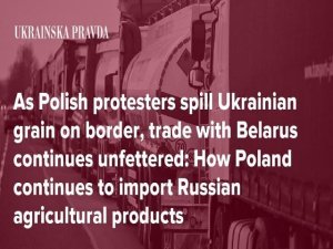 Art&iacute;culo de opini&oacute;n: 'Ucrania intent&oacute; desacreditar a Polonia exagerando su importaci&oacute;n de productos agr&iacute;colas rusos'