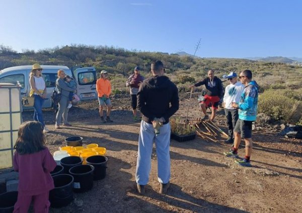 Arucas cuenta con 120 plantas canarias nuevas, plantadas por simpatizantes de Activat y La Vinca EeA