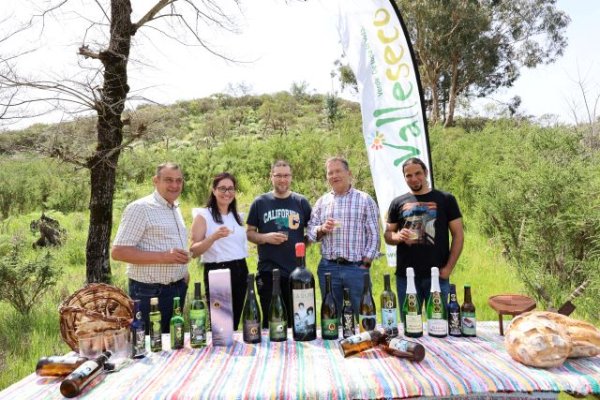 Valleseco: La sidra “La Ruin” se presenta en una partida de subastado