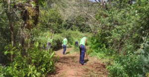 Finaliza con éxito el Plan de Empleo para la Transición Ecológica del Cabildo