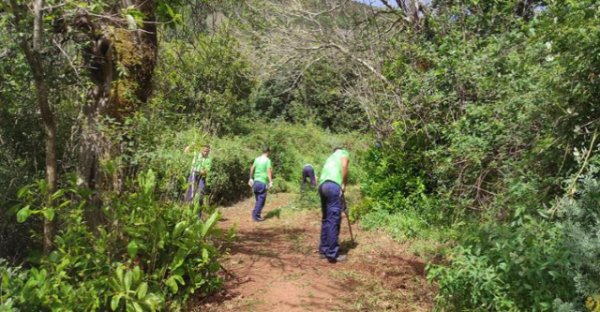Finaliza con éxito el Plan de Empleo para la Transición Ecológica del Cabildo
