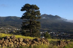 Transición Ecológica destina 510.000 euros en ayudas para las Reservas de la Biosfera de Canarias