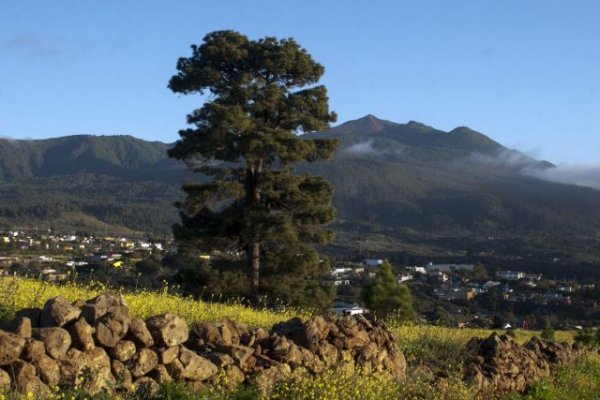 Transición Ecológica destina 510.000 euros en ayudas para las Reservas de la Biosfera de Canarias