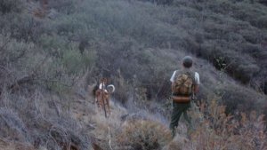 La Gomera: Abierto el plazo de solicitud para obtener la tarjeta de caza controlada para 2023
