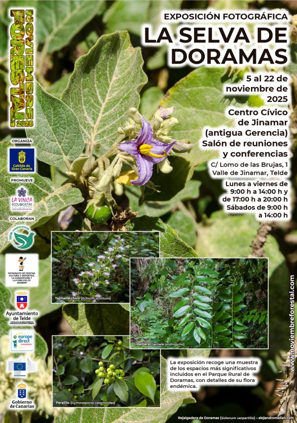 Noviembre Forestal 2025 visita Jinámar con la Exposición Divulgativa “La Selva de Doramas”