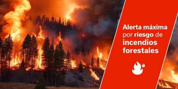 Alerta máxima por riesgo de incendios forestales en El Hierro, La Gomera, La Palma, Tenerife y Gran Canaria