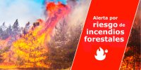 El Gobierno de Canarias declara la situaci&oacute;n de alerta por riesgo de incendios forestales