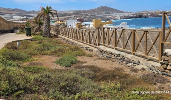 Jardines abandonados en el Agujero - Gáldar