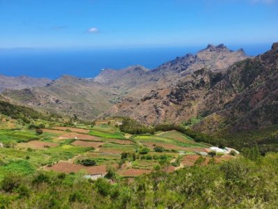 El Gobierno canario concede ayudas a las Asociaciones Profesionales Agrarias sin &aacute;nimo de lucro por 200.000 euros