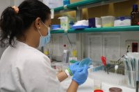 Sanidad contabiliza dos casos en estudio de viruela del mono desde ayer