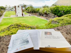 Notas de prensa del Cabildo de La Gomera