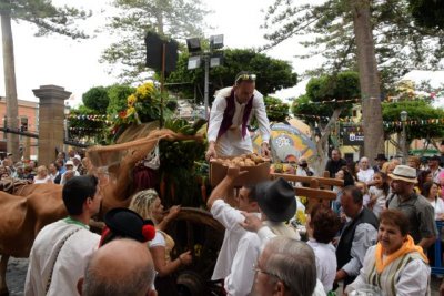 Gáldar: Arranca la semana dedicada al folclore en las Fiestas Mayores con final en la Romería Ofrenda