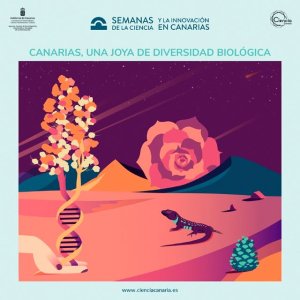 La ingeniosa y resolutiva ciencia brillan en Fuerteventura